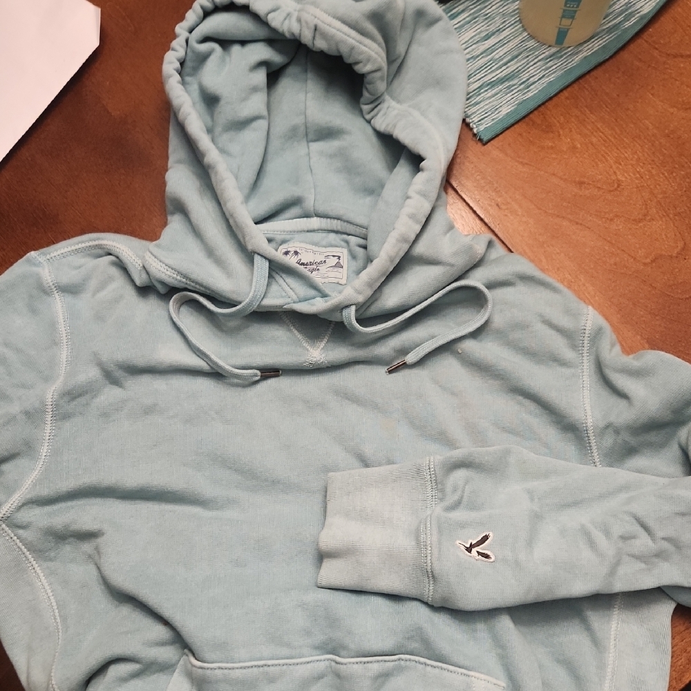Light Blue Hoodie with Embroidered Logo